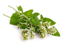 Load image into Gallery viewer, Catnip, Lemony