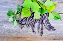 Load image into Gallery viewer, Bean, Royalty Purple Pod