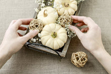 Load image into Gallery viewer, Pumpkin, Baby Boo
