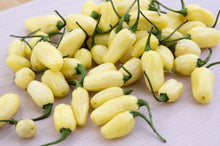 Load image into Gallery viewer, Pepper, Habanero White