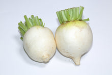 Load image into Gallery viewer, Turnip, Shogoin