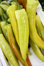 Load image into Gallery viewer, Pepper, Hungarian Hot Wax
