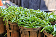 Load image into Gallery viewer, Bean, Green Provider