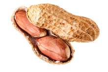 Load image into Gallery viewer, Peanut, Jumbo Virginia