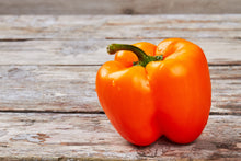Load image into Gallery viewer, Pepper, Orange Sun Bell