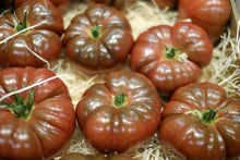 Load image into Gallery viewer, Tomato, Purple Cherokee