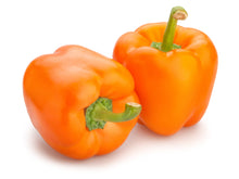 Load image into Gallery viewer, Pepper, Orange King Bell