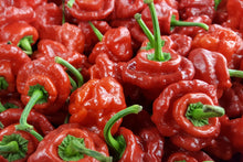 Load image into Gallery viewer, Pepper, Jamaican Hot Red