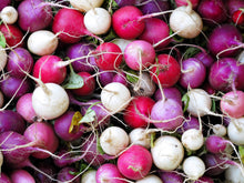 Load image into Gallery viewer, Radish, Easter Egg