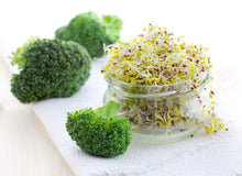 Load image into Gallery viewer, Broccoli, Waltham 29