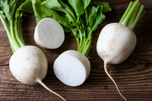 Load image into Gallery viewer, Turnip, Shogoin
