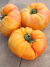 Load image into Gallery viewer, Tomato, Pineapple
