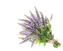 Load image into Gallery viewer, Spearmint