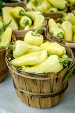 Load image into Gallery viewer, Pepper, Santa Fe Grande