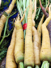Load image into Gallery viewer, Carrot, Lunar White