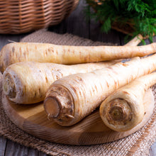 Load image into Gallery viewer, Parsnip, Improved Hollow Crown