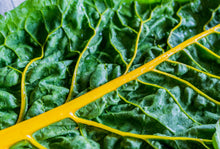 Load image into Gallery viewer, Swiss Chard,  Canary