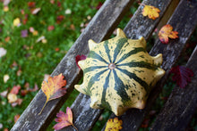 Load image into Gallery viewer, Gourd, Ten Commandments