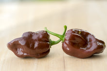 Load image into Gallery viewer, Pepper, Habanero Brown