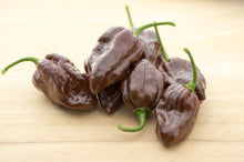 Load image into Gallery viewer, Pepper, Habanero Brown