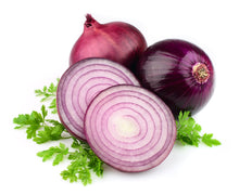 Load image into Gallery viewer, Onion, Red Burgundy