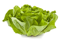 Load image into Gallery viewer, Lettuce, White Boston