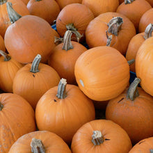 Load image into Gallery viewer, Pumpkin, Small Sugar - Organic
