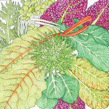 Load image into Gallery viewer, Greens, Mesclun Spicy Mix - Organic