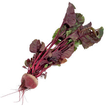 Load image into Gallery viewer, Beet, Bull's Blood - Organic