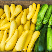 Load image into Gallery viewer, Summer Squash, Early Prolific Straightneck