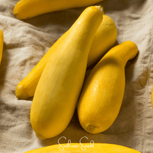 Load image into Gallery viewer, Summer Squash, Early Prolific Straightneck