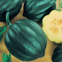 Load image into Gallery viewer, Winter Squash, Table Queen Acorn - Organic