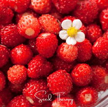 Load image into Gallery viewer, Strawberry, Wild Red