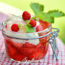 Load image into Gallery viewer, Strawberry, Wild Red