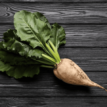 Load image into Gallery viewer, Beet, Sugar