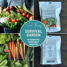 Load image into Gallery viewer, Survival Garden Combo – 40 Vegetable &amp; 40 Medicinal Herb Varieties