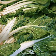 Load image into Gallery viewer, Swiss Chard, Lucullus