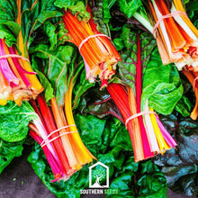 Load image into Gallery viewer, Swiss Chard, Rainbow