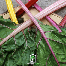 Load image into Gallery viewer, Swiss Chard, Rainbow