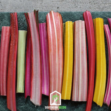 Load image into Gallery viewer, Swiss Chard, Rainbow