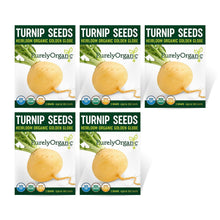 Load image into Gallery viewer, Turnip, Golden Globe - Organic