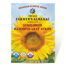 Load image into Gallery viewer, Sunflower, Mammoth Gray Strip Seeds