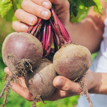 Load image into Gallery viewer, Beet, Detroit Dark Red Seeds