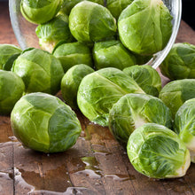 Load image into Gallery viewer, Brussels Sprouts, Long Island Seeds