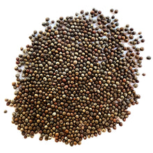 Load image into Gallery viewer, Brussels Sprouts, Long Island Seeds
