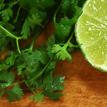 Load image into Gallery viewer, Cilantro, Slow Bolt - Organic