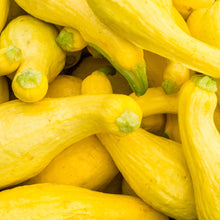 Load image into Gallery viewer, Summer Squash, Yellow Crookneck Seeds
