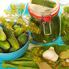 Load image into Gallery viewer, Dill Seeds - Organic