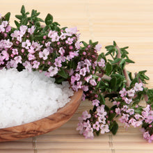 Load image into Gallery viewer, Thyme Seeds - Organic