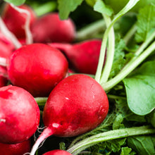 Load image into Gallery viewer, Radish, Cherry Belle - Organic